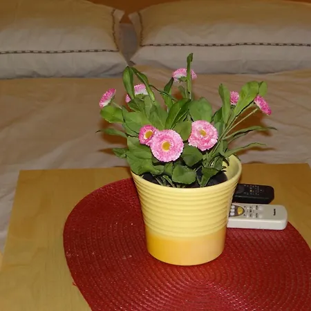Apartments Piran Room photo