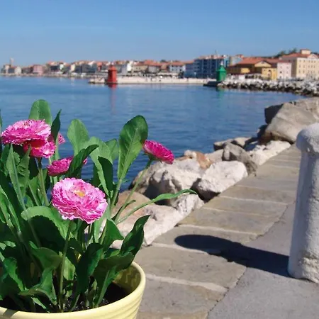 Apartments Piran Exterior photo