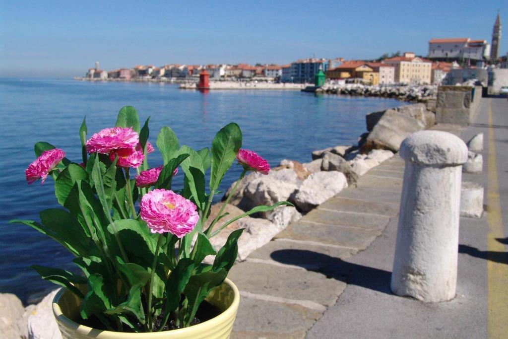 Apartments Piran * Piran